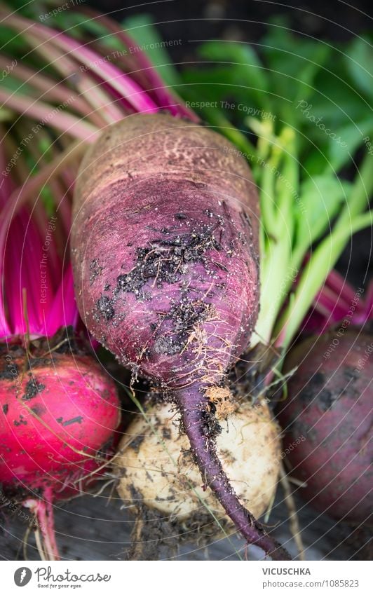 Rote Bete Rüben Lebensmittel Gemüse Ernährung Bioprodukte Vegetarische Ernährung Diät Stil Design Gesunde Ernährung Garten Natur Beet red Hintergrundbild