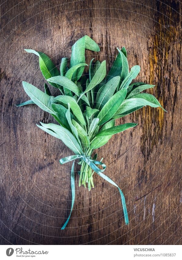 Salbei Bund mit Schleife auf Holztisch Lebensmittel Kräuter & Gewürze Stil Design Gesundheit Behandlung Alternativmedizin Garten Natur Frühling Sommer Herbst