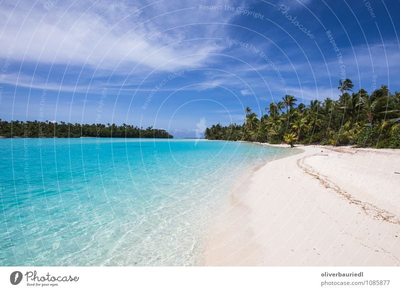 Südsee Paradies Ferien & Urlaub & Reisen Tourismus Ferne Sommerurlaub Sonne Strand Meer Insel Natur Wasser Schönes Wetter Wärme Küste genießen Schwimmen & Baden