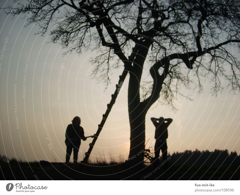 Geg und ich Baum dunkel Verlauf Farbverlauf Sonnenuntergang schön Elektrogitarre beeindruckend Freude Kunst Kultur Mensch Silhuette Leiter Himmel blau orange