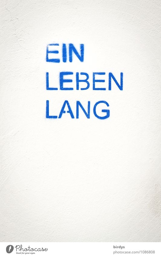 Rückblick Schriftzeichen Buchstaben Text außergewöhnlich einfach hell blau weiß Zusammensein Treue Wahrheit Ausdauer Glaube Tod Beginn Erfahrung