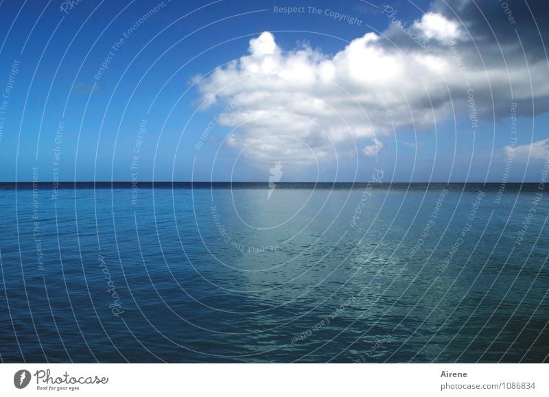 da kommt noch was... Urelemente Luft Wasser Himmel Wolken Gewitterwolken Sommer Wetter Schönes Wetter Unwetter Meer Atlantik bedrohlich Ferne Unendlichkeit blau