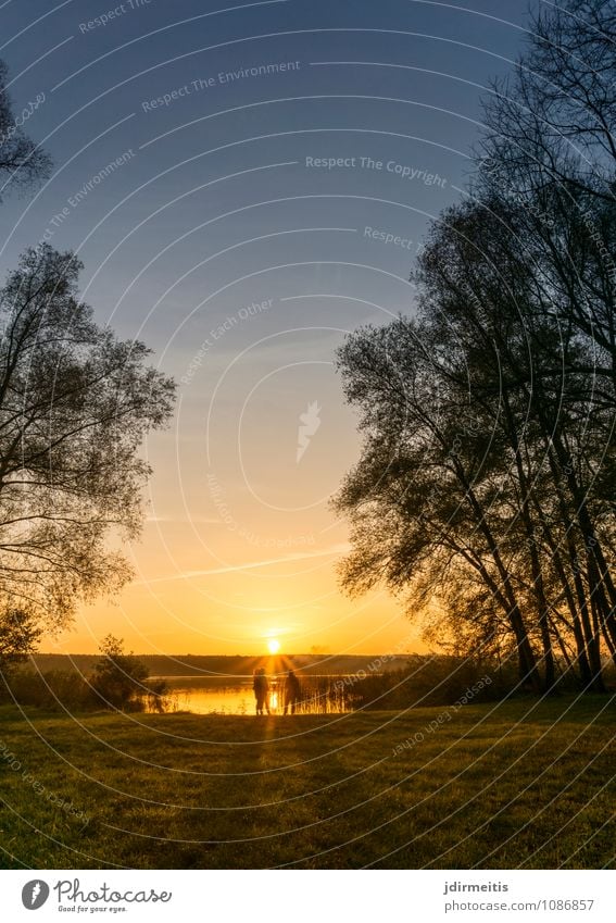 Abend am See Ferien & Urlaub & Reisen Ausflug Mensch feminin 3 Umwelt Natur Landschaft Wasser Himmel Sonne Sonnenaufgang Sonnenuntergang Baum Park Küste Seeufer