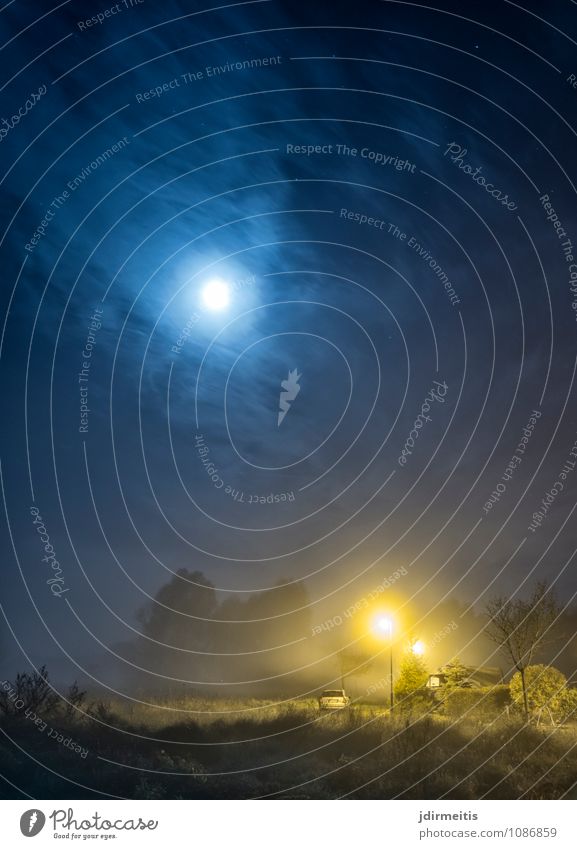 Vollmond Umwelt Natur Landschaft Himmel Wolken Nachthimmel Mond Garten Feld Dorf Kleinstadt Stadt Park dunkel Baum Straßenbeleuchtung Farbfoto Außenaufnahme