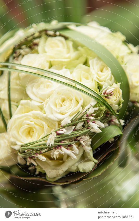 Brautstrauß aus Rosen 2 Feste & Feiern Valentinstag Muttertag Hochzeit Geburtstag Trauerfeier Beerdigung Pflanze Blumenstrauß Kitsch Liebe Standesamt