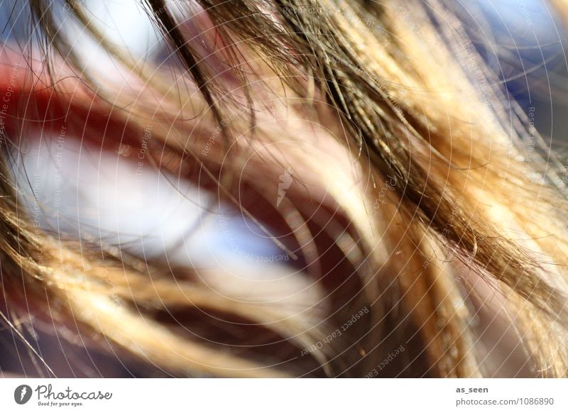 Haare im Wind Haare & Frisuren Umwelt Natur Luft Sonne Frühling Sommer Schönes Wetter brünett blond langhaarig Behaarung Erholung genießen hängen leuchten