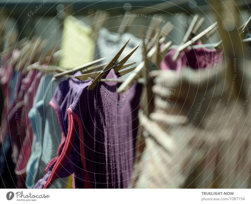 Natürlich | ... viel Arbeit Lifestyle Häusliches Leben Natur Luft Sonne Wetter Schönes Wetter Wärme Garten Bekleidung T-Shirt Hemd Rock Kleid Kinderbekleidung