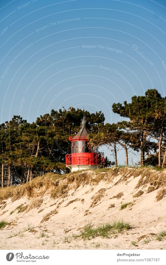 Kleine Leuchte Ferien & Urlaub & Reisen Tourismus Ausflug wandern Umwelt Natur Landschaft Pflanze Frühling Schönes Wetter Hügel Küste Seeufer Ostsee Insel Turm