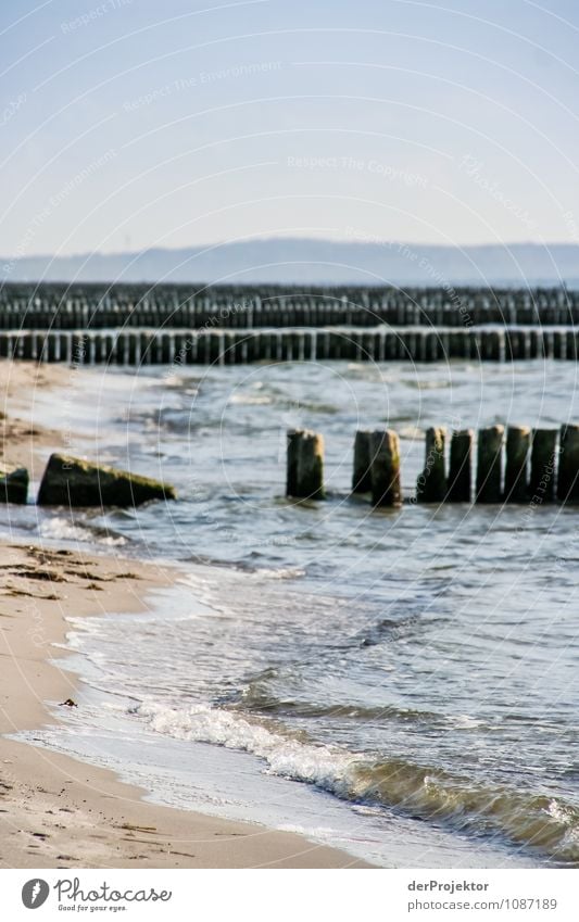 Wellenbrecher vs. Meer (0:1) Ferien & Urlaub & Reisen Tourismus Ausflug Ferne Freiheit Umwelt Natur Landschaft Pflanze Wasser Herbst Schönes Wetter Küste Strand