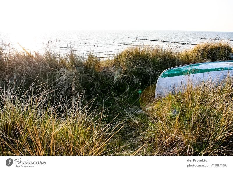 Boot im Dünengras Ferien & Urlaub & Reisen Tourismus Ausflug Ferne Freiheit Umwelt Natur Landschaft Pflanze Frühling Schönes Wetter Wellen Küste Strand Ostsee