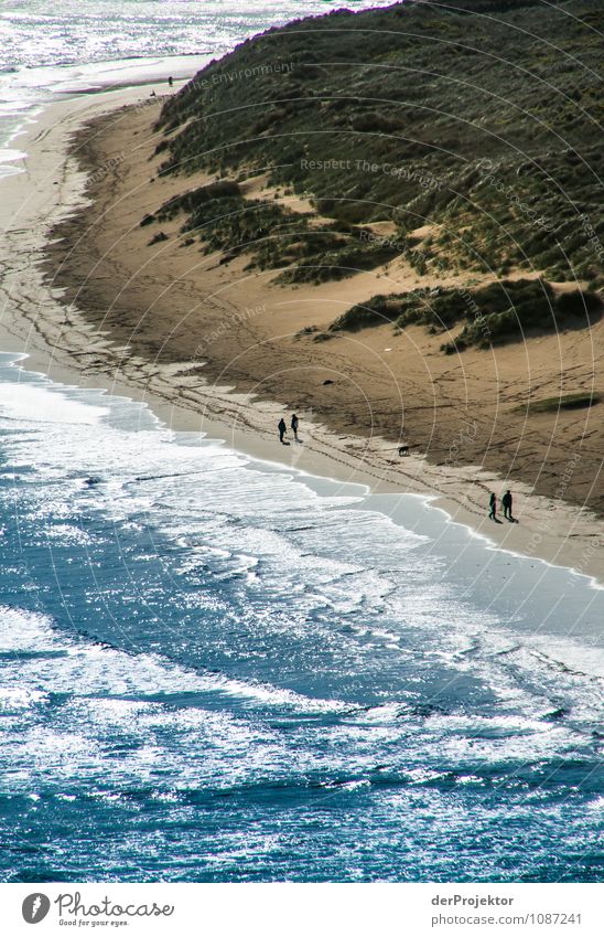 ... und hier das ganz bei Flut Ferien & Urlaub & Reisen Tourismus Ausflug Ferne Freiheit wandern Umwelt Natur Landschaft Pflanze Tier Frühling Schönes Wetter