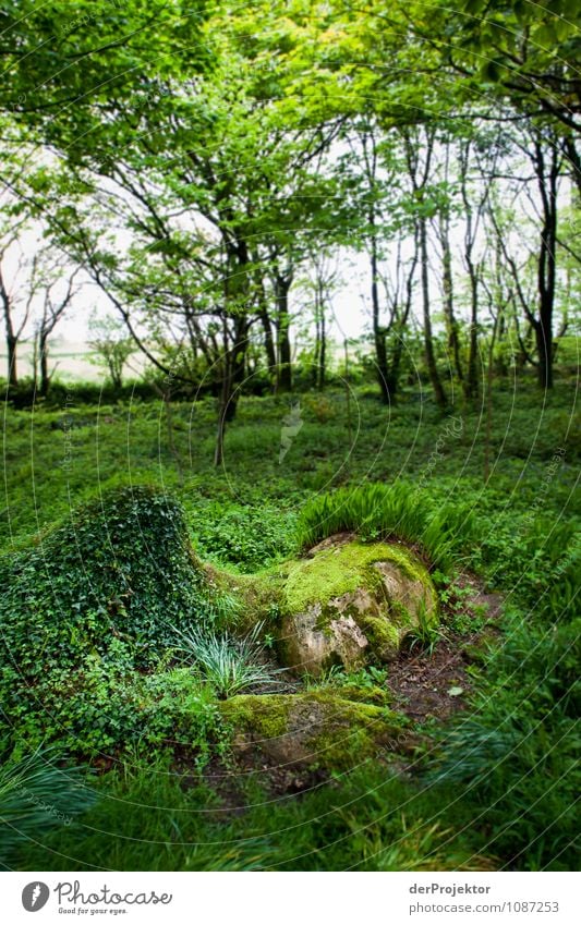 Schlafende mit Erleuchtung Ferien & Urlaub & Reisen Tourismus Ausflug Sightseeing Expedition Umwelt Natur Landschaft Pflanze Urelemente Frühling Schönes Wetter