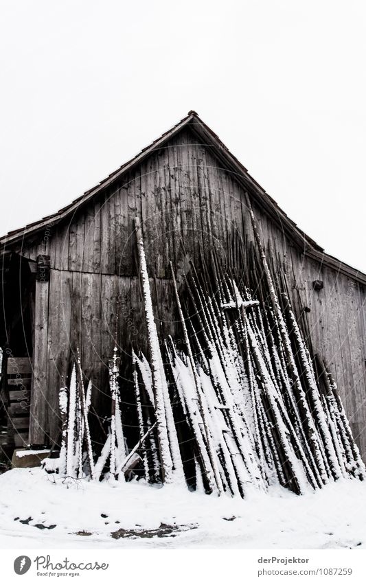 Riesenmikado im Winter Ferien & Urlaub & Reisen Tourismus Ausflug Winterurlaub Berge u. Gebirge Umwelt Natur Landschaft Schönes Wetter Eis Frost Schnee Dorf