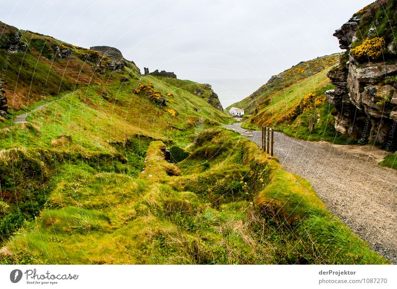 Moos, Flechten, Weg = Cornwall Ferien & Urlaub & Reisen Tourismus Ausflug Ferne Freiheit Sightseeing Expedition Camping Fahrradtour wandern Umwelt Natur