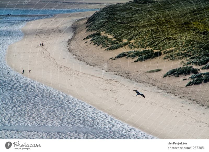 Am Strand bei Ebbe... Ferien & Urlaub & Reisen Tourismus Ausflug Ferne Freiheit wandern Umwelt Natur Landschaft Pflanze Tier Urelemente Frühling Schönes Wetter