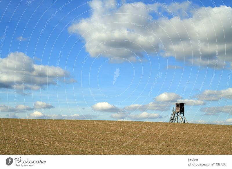 Turm f8 Hochsitz Wiese Feld Wolken Einsamkeit weiß Horizont Brandenburg ruhig Hintergrundbild Wohnung Himmel Jagd Leiter blau windows Landschaft Ferne