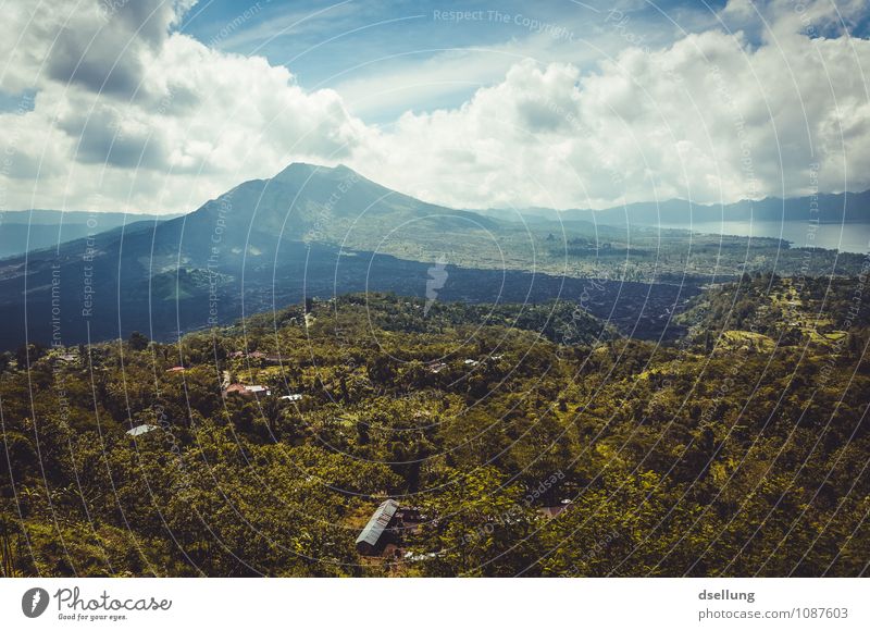 Vulkan im Vulkan Umwelt Natur Landschaft Pflanze Urelemente Himmel Wolken Horizont Sommer Klima Schönes Wetter gunung batur See Danau Batur Bali Indonesien Dorf