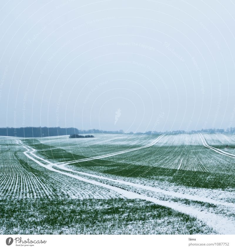 der Winter geht Schnee Landwirtschaft Himmel Frost kalt