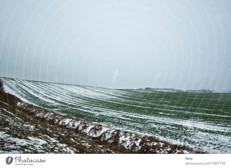 Winterlandschaft Landwirtschaft Forstwirtschaft Umwelt Natur Landschaft Erde Eis Frost Feld kalt Beginn Schneefall Schneelandschaft Außenaufnahme Muster