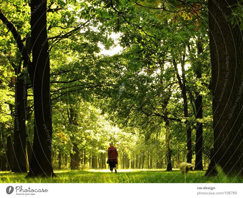 morgens, halb zehn in deutschland II Farbverlauf Verlauf Horizont Baum Haus Bauernhof Pferd Ziegen Wolken Abenddämmerung abgelegen beschaulich Einsamkeit