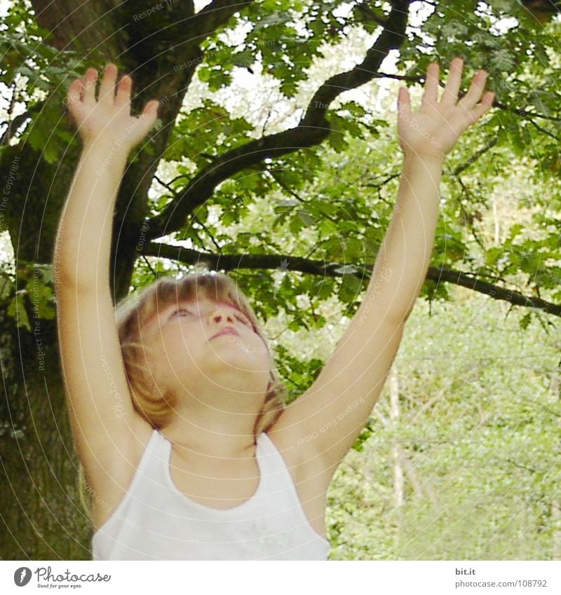 Lustiges, witziges, fröhliches, glückliches, ulkiges, blondes Mädchen draussen im Garten, schaut nach oben und streckt dabei die beiden Arme hoch zum Baum. Kleiner Spaßvogel macht Quatsch, Spaß mit erhobenen Händen in der Natur, im Park unter dem Baum.