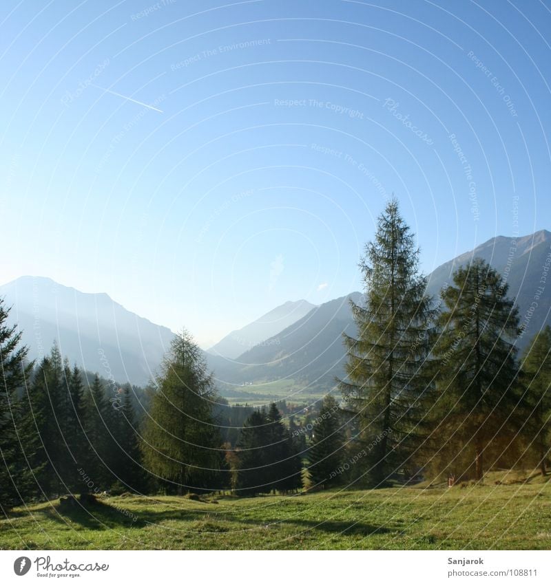 Am Eingang des Paradieses grün Gipfel Mittag Nachmittag Horizont Baum Fichte Wald-Kiefer Sträucher Wiese Alm wandern Österreich Hochebene Sommer