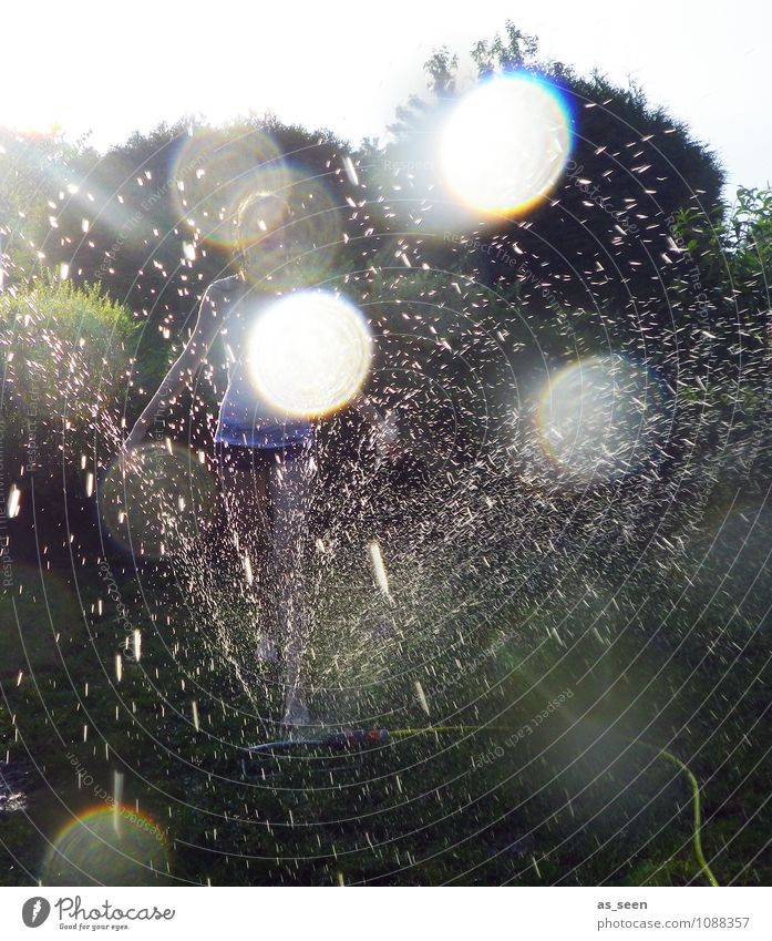 Spritzig! feminin Kindheit Jugendliche 1 Mensch 13-18 Jahre Umwelt Natur Landschaft Pflanze Urelemente Erde Luft Wasser Wassertropfen Himmel Sommer Klima