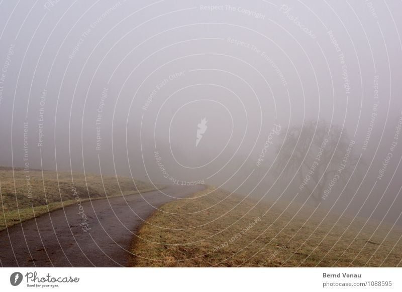 unklar Berge u. Gebirge Natur Wetter Nebel Baum Gras Hügel Verkehr Straße Wege & Pfade grün Stimmung Zukunft trüb Dunst Kurve ungewiss Nebelwand schlecht