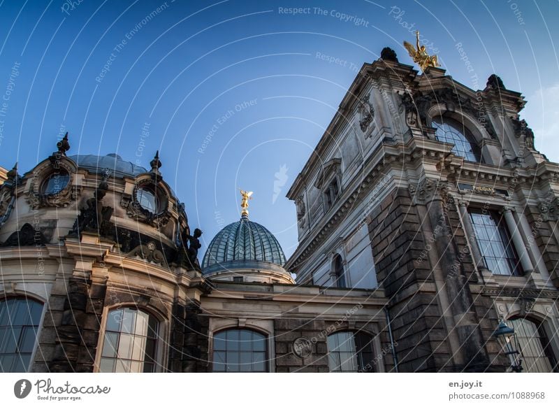 Zitronenpresse Ferien & Urlaub & Reisen Tourismus Ausflug Sightseeing Städtereise Studium Kunstakademie Himmel Dresden Stadt Bauwerk Gebäude Architektur Mauer