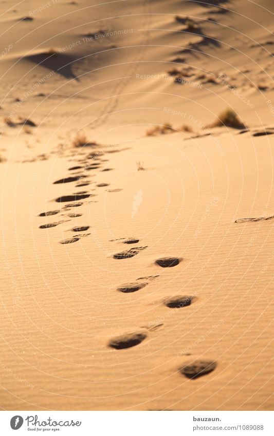 weg. Gesundheit Ferien & Urlaub & Reisen Tourismus Abenteuer Ferne Freiheit Sommer Natur Landschaft Erde Sand Schönes Wetter Wärme Dürre Wüste Fußspur Bewegung