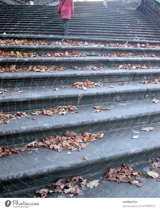 Herbst Blatt Freitreppe steigen aufsteigen Karriere Lebenslauf aufwärts abwärts Frau Potsdam Architektur hausordnung nachbarschaftsstreit