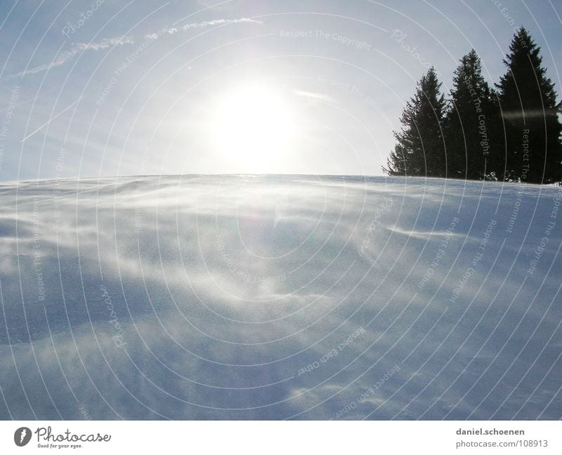 der Sonne entgegen und den Schnee im Gesicht Sonnenstrahlen kalt Licht weiß Baum Ferien & Urlaub & Reisen Winterurlaub Schwarzwald Tiefschnee Pulverschnee Tanne