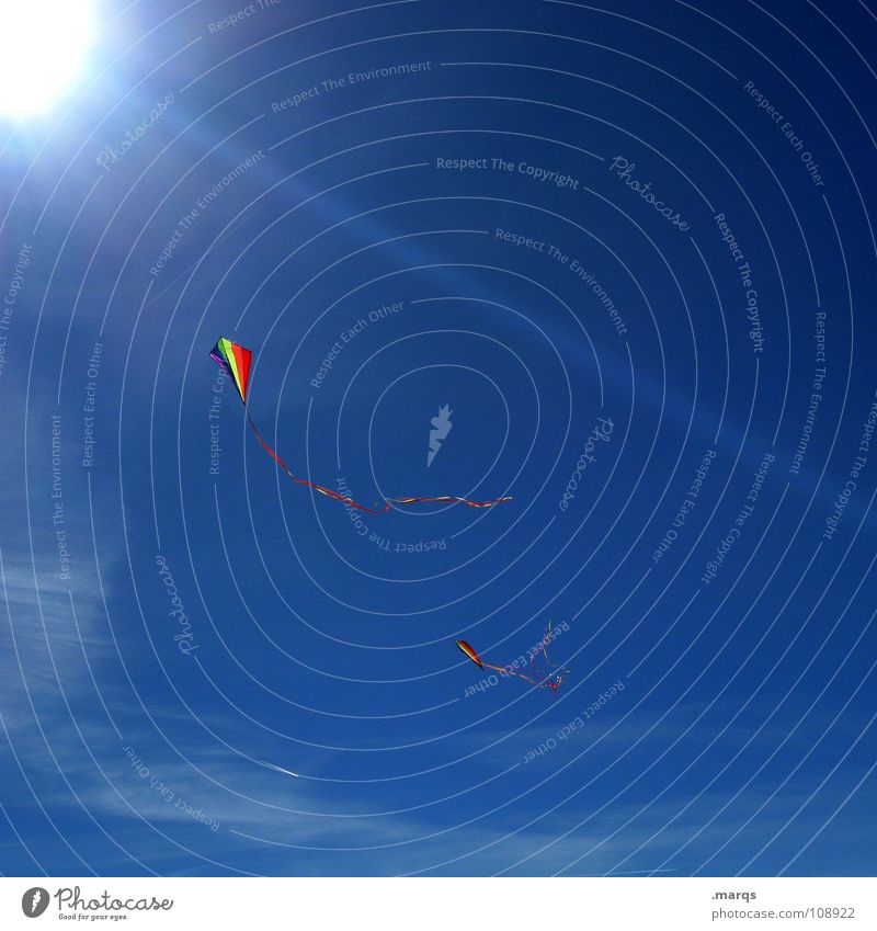 Drachentag Sonnenstrahlen mehrfarbig steigen flattern laufen Herbst Spielen führen Flugzeug Kiting Kondensstreifen Freude Himmel Beleuchtung Lampe blau fliegen