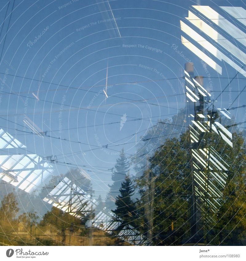 where is my mind? grün Licht Reflexion & Spiegelung Glasscheibe Fenster diagonal schwarz Baum Himmel Herbst Dresden graphisch Quadrat schön Architektur blau