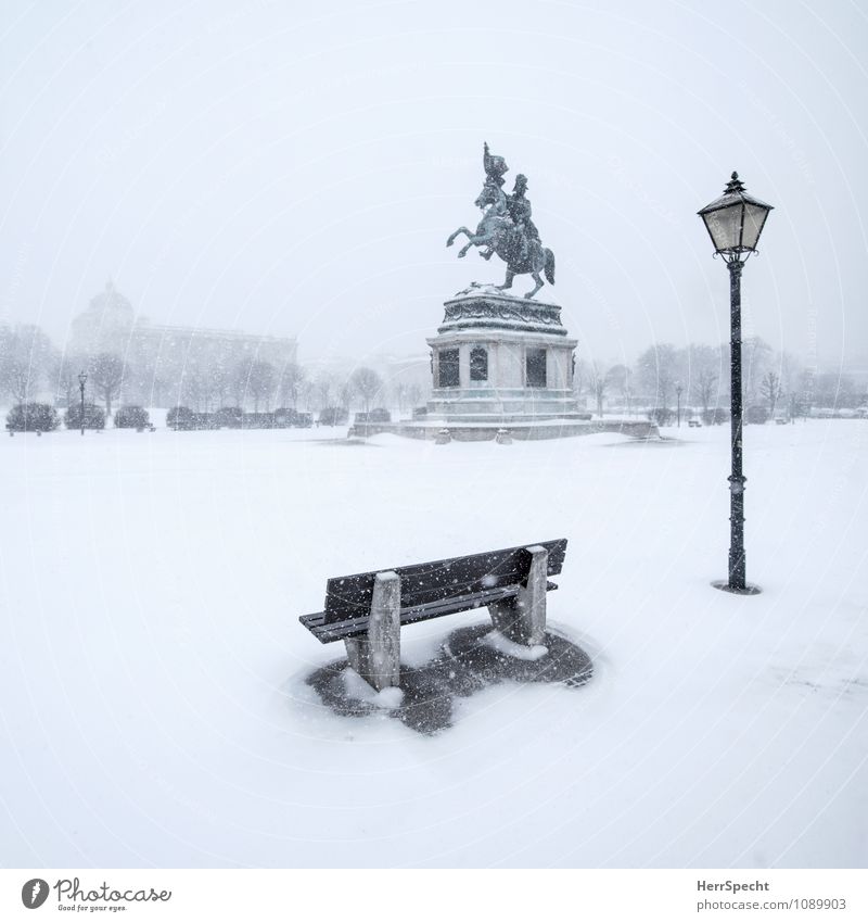 Rider on the (snow) storm Umwelt Urelemente Winter schlechtes Wetter Unwetter Wind Sturm Schnee Schneefall Wien Österreich Hauptstadt Stadtzentrum Altstadt