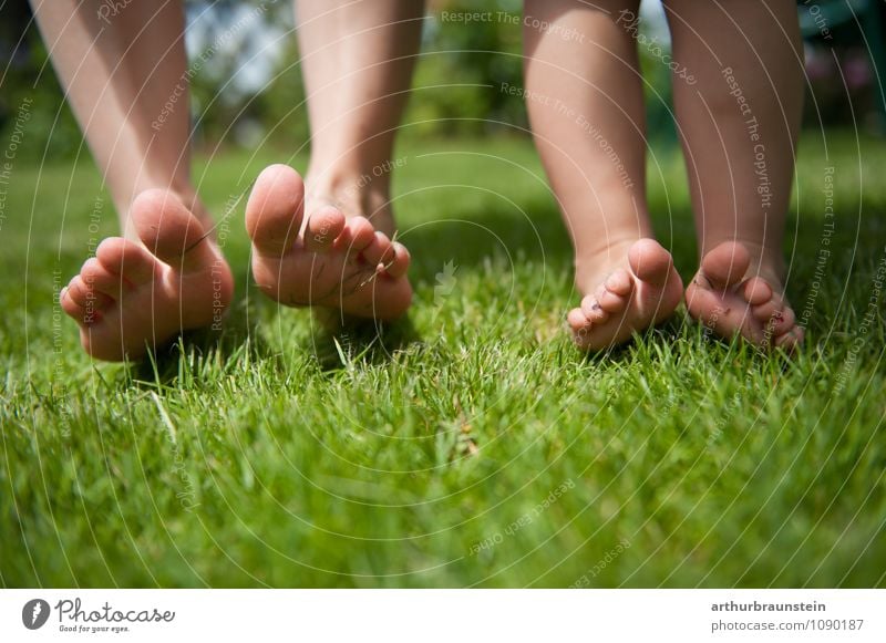 Füße barfuß in der Wiese Lifestyle Pediküre Gesundheit Freizeit & Hobby Freiheit Sommer Sonne Garten Kindererziehung Mensch maskulin feminin Junge Frau