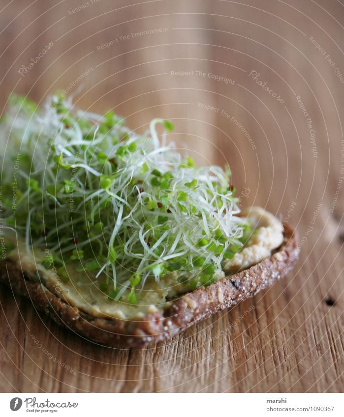 gesunder Snack Lebensmittel Brot Brötchen Kräuter & Gewürze Ernährung Essen Abendessen Bioprodukte Vegetarische Ernährung Diät Stimmung hummus Kresse lecker