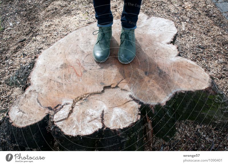 Holztritt feminin Frau Erwachsene Beine Fuß 1 Mensch Baum Baumstumpf Schuhe Stiefel Halbstiefel stehen alt trist braun grün Ärger Baumscheibe abgesägt Sockel