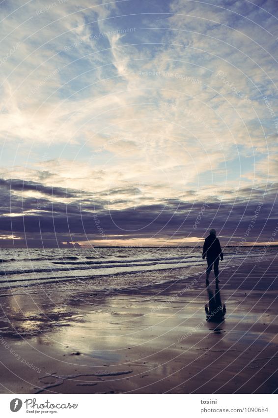 Träumerisch Junger Mann Jugendliche Frau Erwachsene 1 Mensch laufen Meer Strand Wasser Sehnsucht nachdenklich Wetter Klima Wellen Himmel Wolken Sonnenuntergang