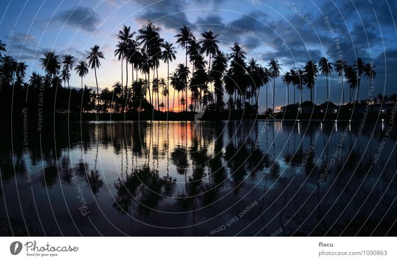 schöne Sonnenuntergangpalmen, die in einem Pool am Strand sich reflektieren Reichtum Freude Erholung Spa Freizeit & Hobby Ferien & Urlaub & Reisen Tourismus