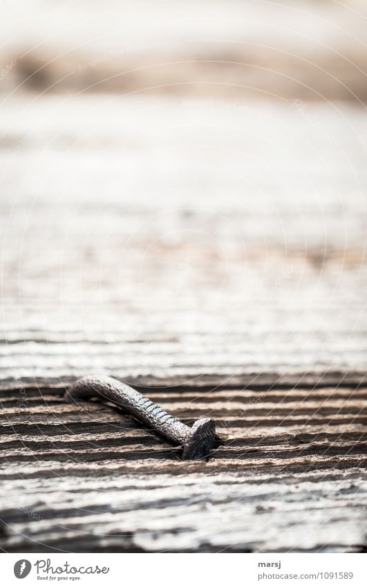 Nix mehr Nagelyoga Handwerk Baustelle Holz Metall Stahl Rost einfach platt alt verrotten Farbfoto Gedeckte Farben Außenaufnahme Nahaufnahme Detailaufnahme