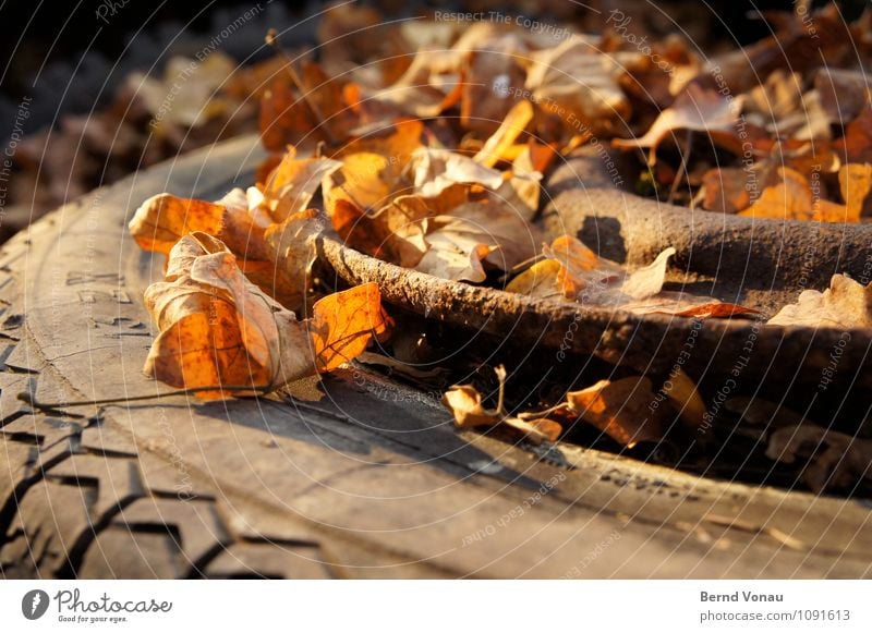 Zeit zu gehen Herbst Blatt Verkehr PKW Rost kaputt Tod stagnierend Reifen Gummi Abschied Reifenprofil Felge Herbstlaub Blattadern Müll entsorgen Farbfoto