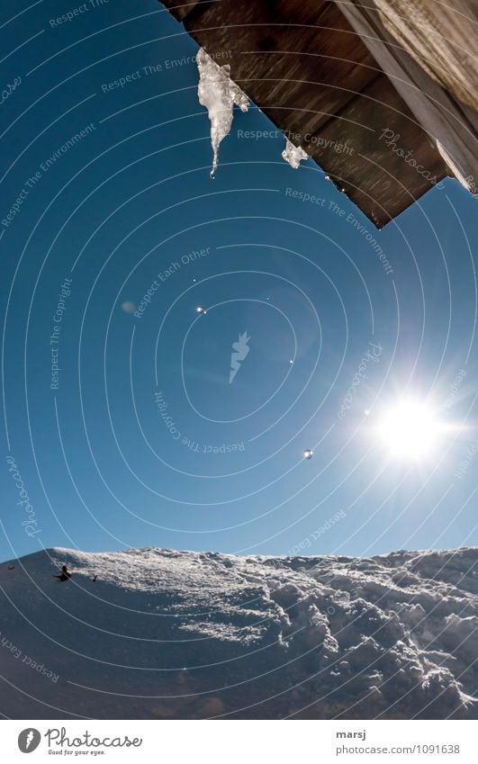 Tröpfchenweise Leben Winter Schnee Winterurlaub Berge u. Gebirge Natur Wassertropfen Himmel Wolkenloser Himmel Sonne Sonnenlicht Schönes Wetter Eis Frost