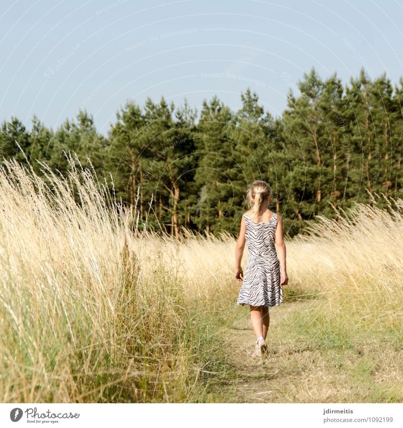 Im Feld Freizeit & Hobby Spielen Sommer wandern Kind Schulkind Mensch feminin Mädchen 1 8-13 Jahre Kindheit Umwelt Natur Landschaft Pflanze Himmel Baum Gras