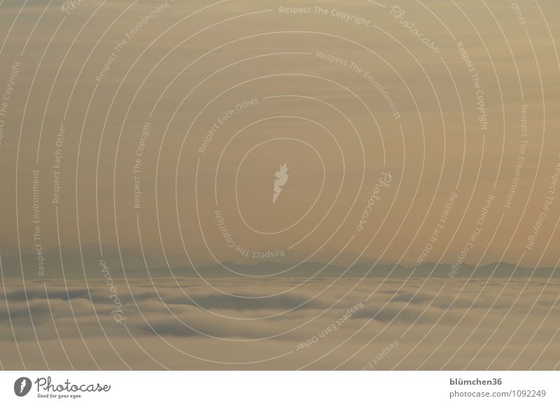 Wetter | über dem Hochnebel Natur Landschaft Urelemente Luft Himmel Wolken Nebel Berge u. Gebirge Alpen Schneebedeckte Gipfel außergewöhnlich frei Unendlichkeit