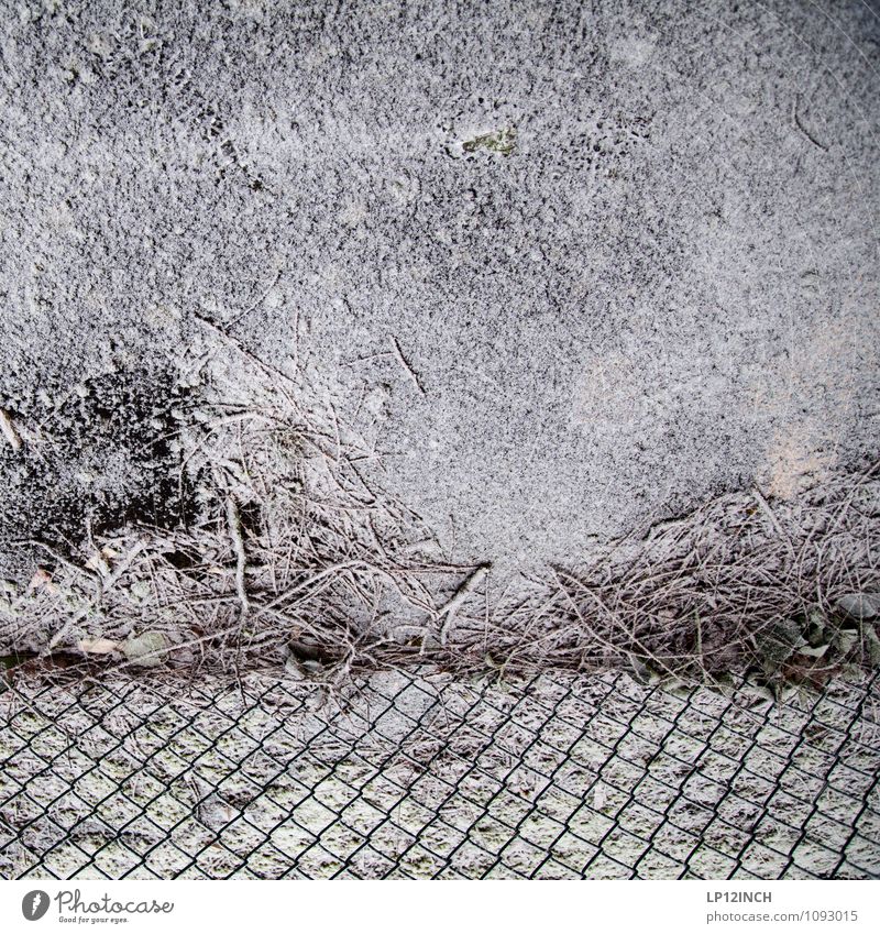 Maschenschneezaun Natur Winter Schnee Maschendrahtzaun grau weiß protestieren Wege & Pfade Ast Boden Perspektive Schneefall Zaun Barriere Schutz Hintergrundbild