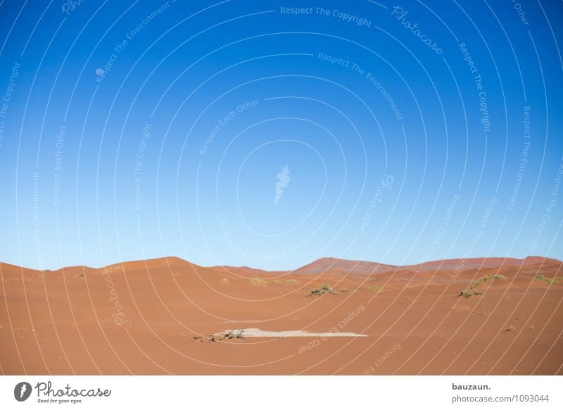 wüste. Ferien & Urlaub & Reisen Tourismus Abenteuer Ferne Expedition Sommer Umwelt Natur Landschaft Erde Sand Himmel Wolkenloser Himmel Mond Klima Klimawandel