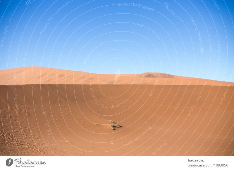 sand. Ferien & Urlaub & Reisen Tourismus Abenteuer Ferne Freiheit Umwelt Natur Landschaft Urelemente Erde Sand Himmel Wolkenloser Himmel Sonne Sommer Klima