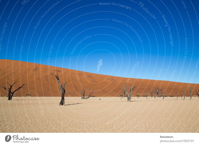 noch schräger. Ferien & Urlaub & Reisen Tourismus Abenteuer Ferne Freiheit Sightseeing Sommer Sonne Umwelt Natur Landschaft Klima Klimawandel Wetter