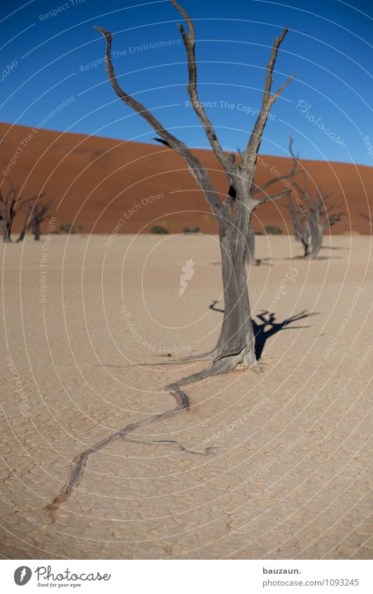 unter der erde. Ferien & Urlaub & Reisen Tourismus Abenteuer Ferne Freiheit Sommer Umwelt Natur Landschaft Erde Sand Himmel Wolkenloser Himmel Sonne Klima